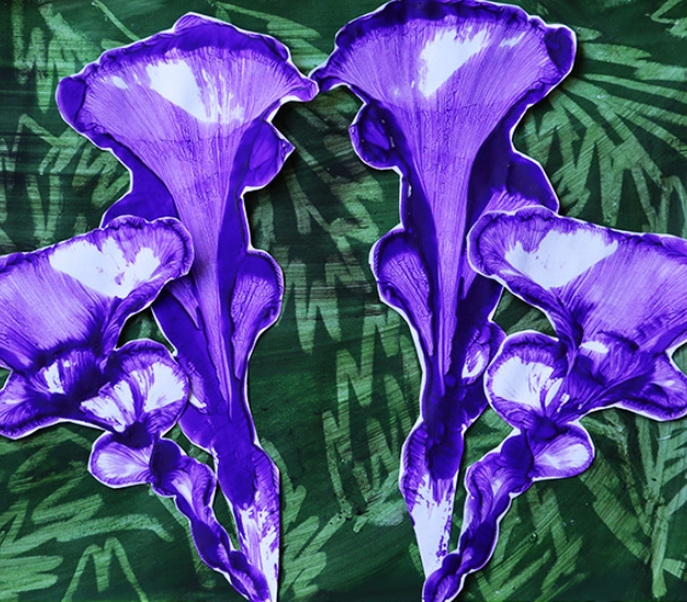purple flowers art lessons banner